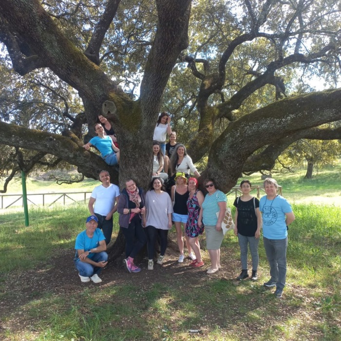 participants-group-tree