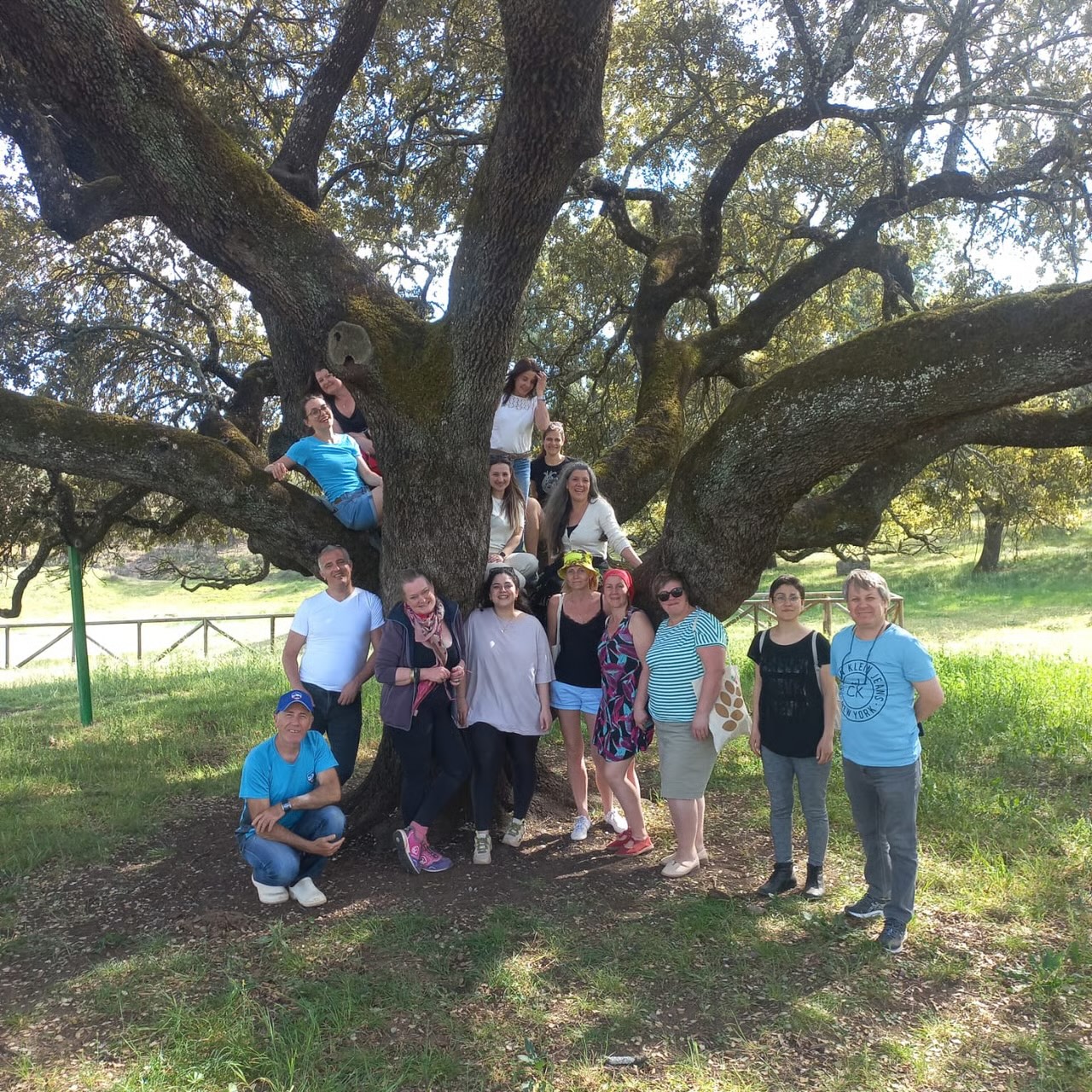participants-group-tree